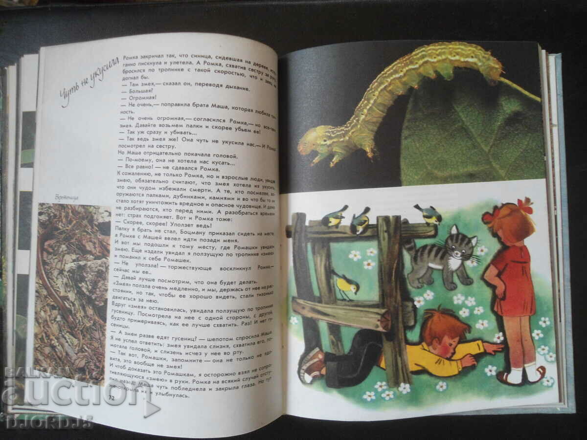 About nature for big and small - 6 About nature for big and small - 6