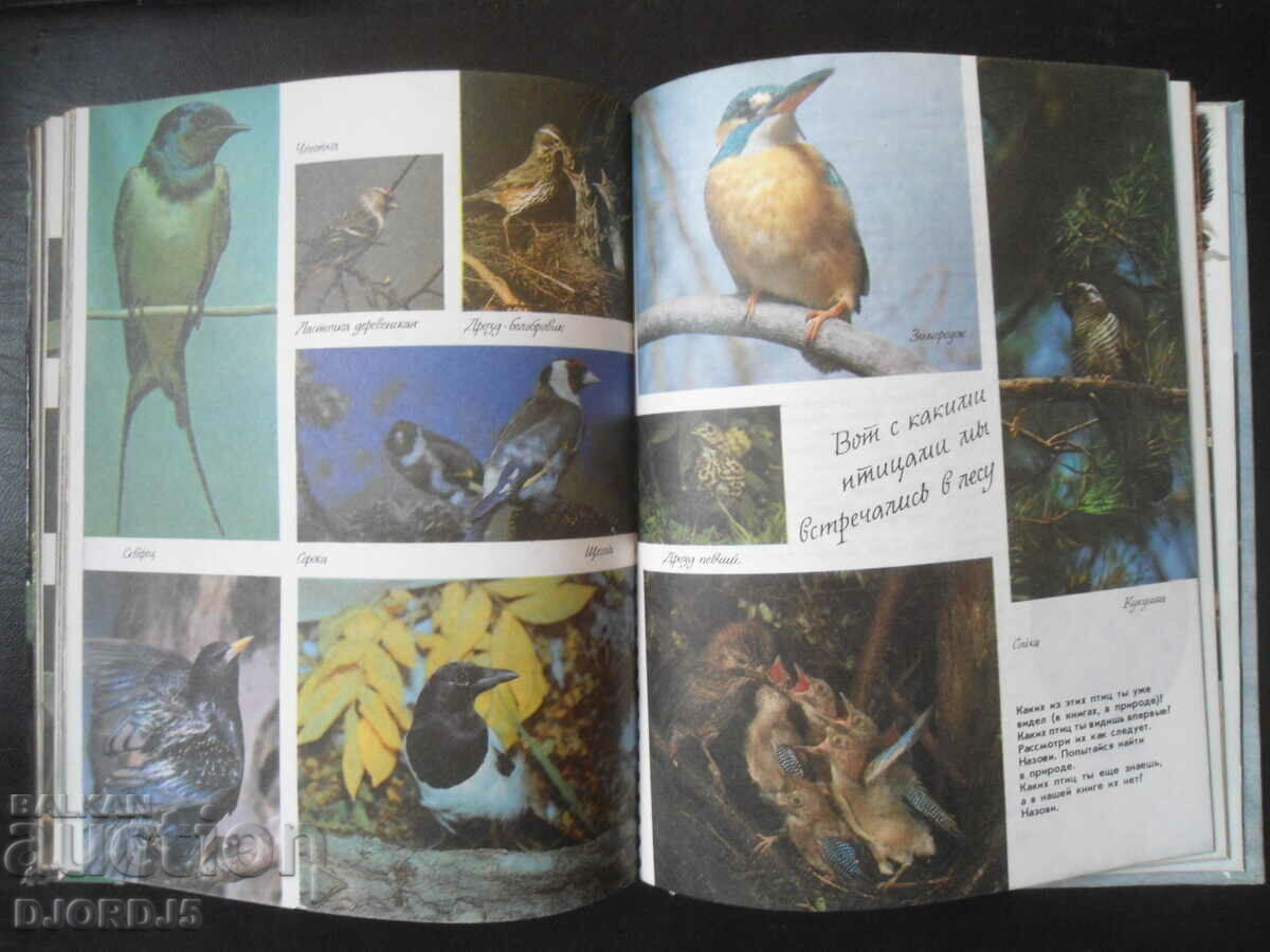 About nature for big and small - 7 About nature for big and small - 7