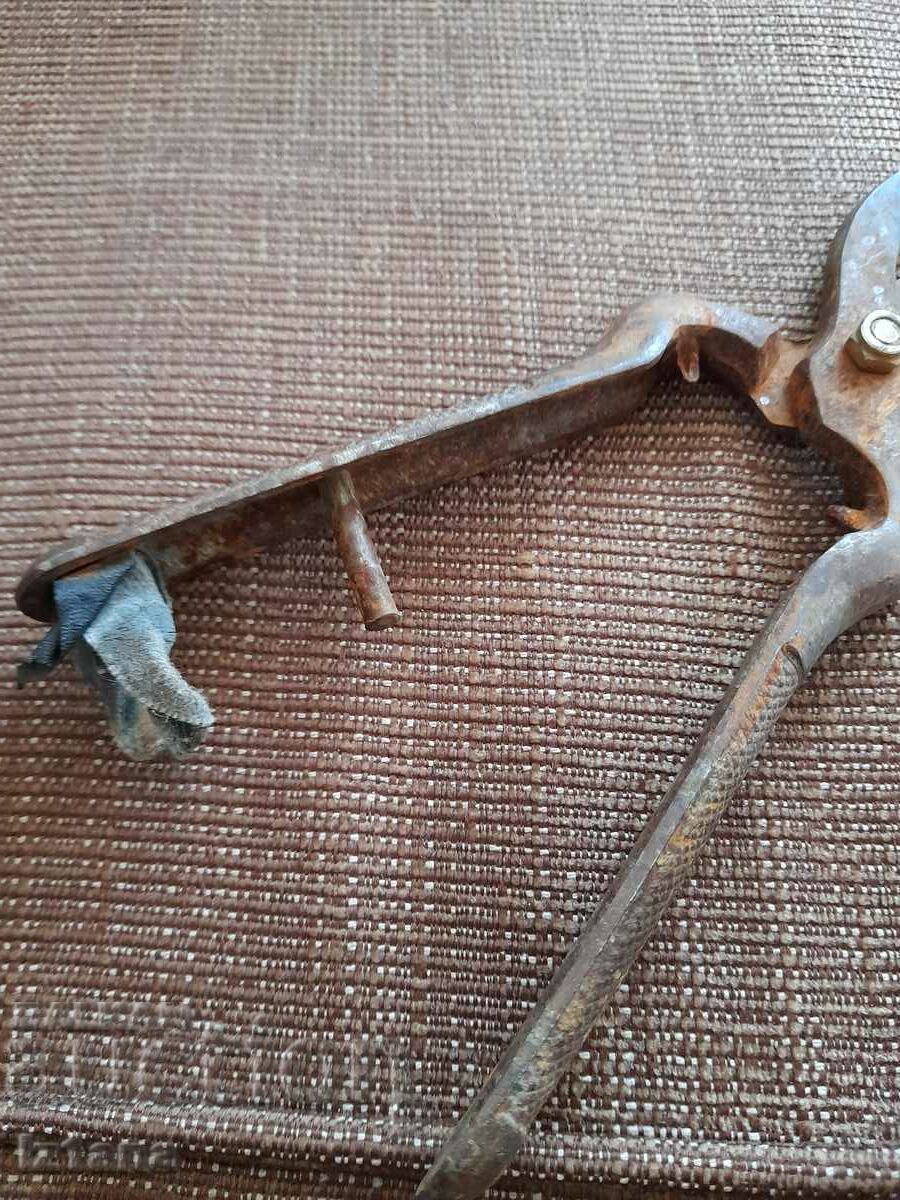 Δημοπρασία Stara Lozarska, ovoshtarska Nozhitsa, Nozhitsi Δημοπρασία Stara Lozarska, ovoshtarska Nozhitsa, Nozhitsi