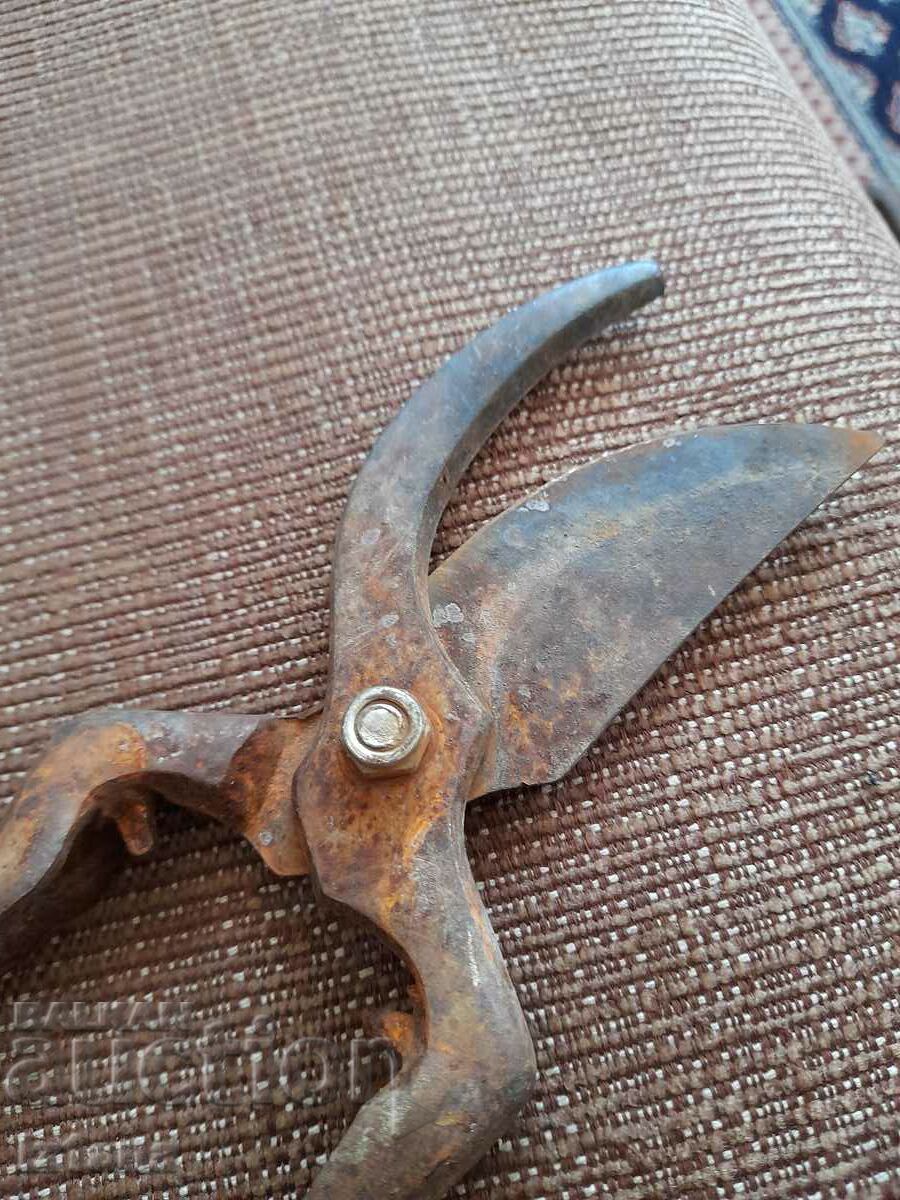 Παράδοση Stara Lozarska, ovoshtarska Nozhitsa, Nozhitsi Παράδοση Stara Lozarska, ovoshtarska Nozhitsa, Nozhitsi