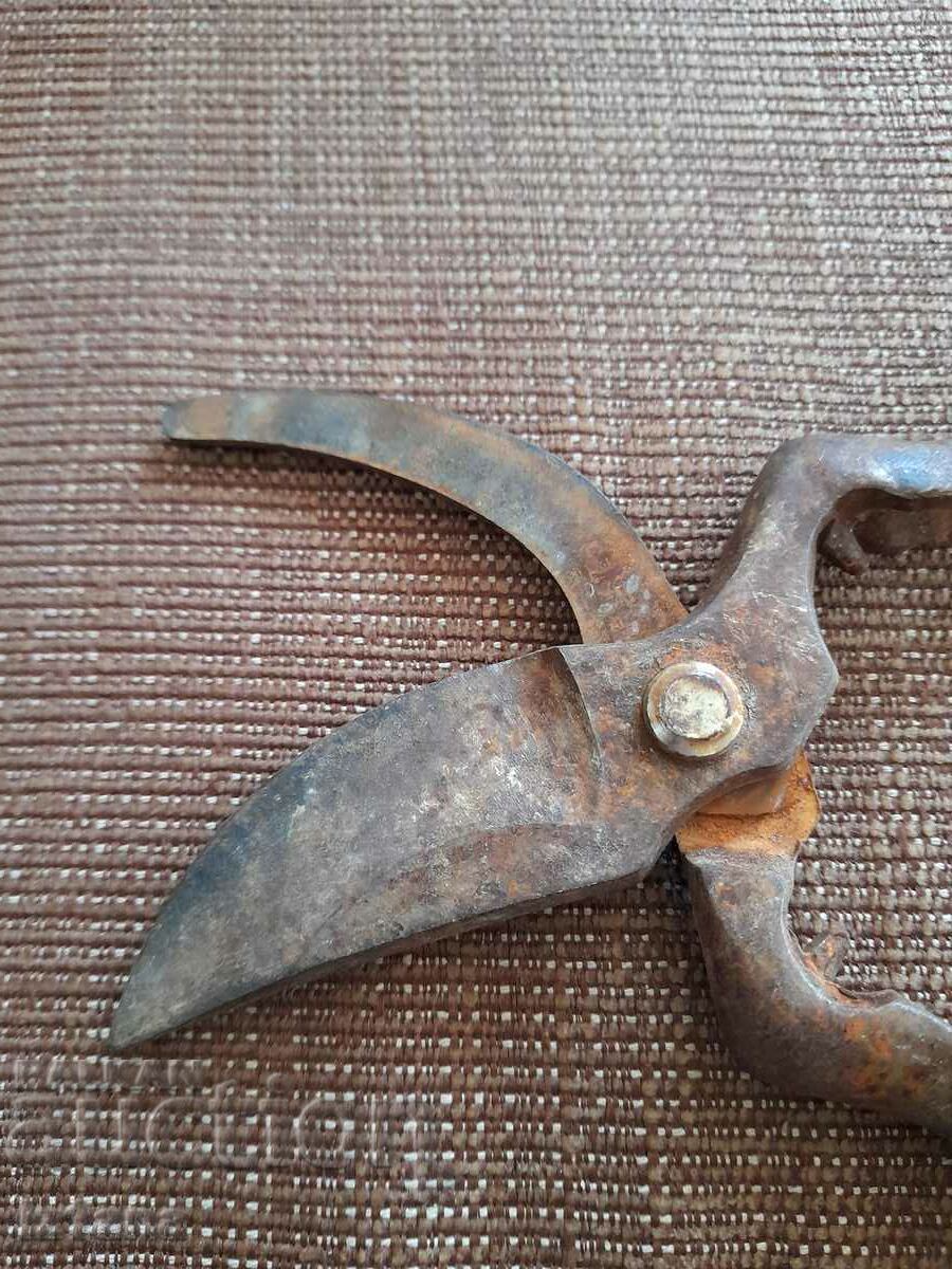 Stara Lozarska, ovoshtarska Nozhitsa, Nozhitsi - 5 Stara Lozarska, ovoshtarska Nozhitsa, Nozhitsi - 5