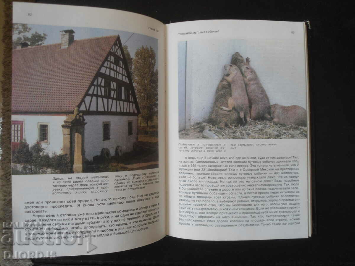 Delivery of From cobra to grizzly bear Delivery of From cobra to grizzly bear