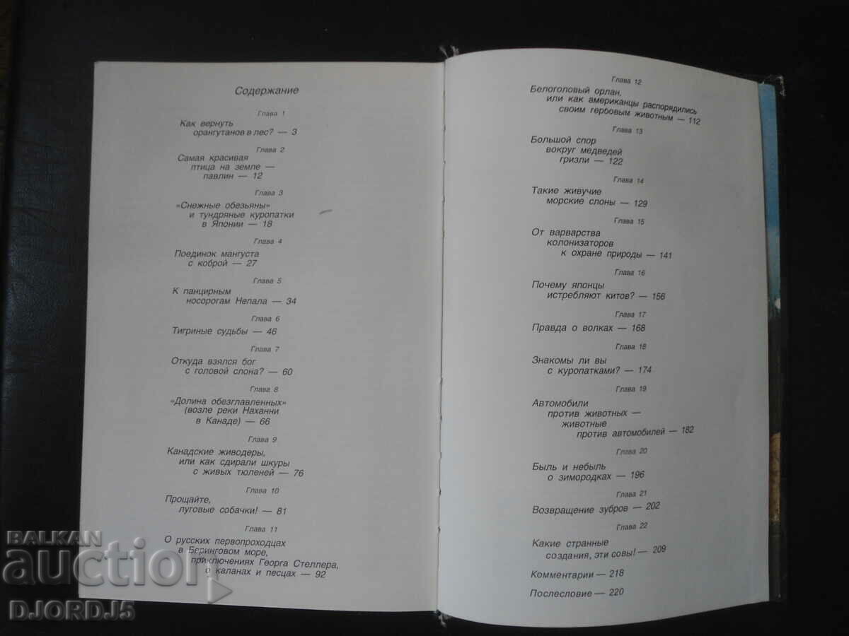 From cobra to grizzly bear - 5 From cobra to grizzly bear - 5