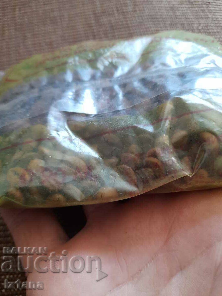 Παλιός καφές - 5 Παλιός καφές - 5