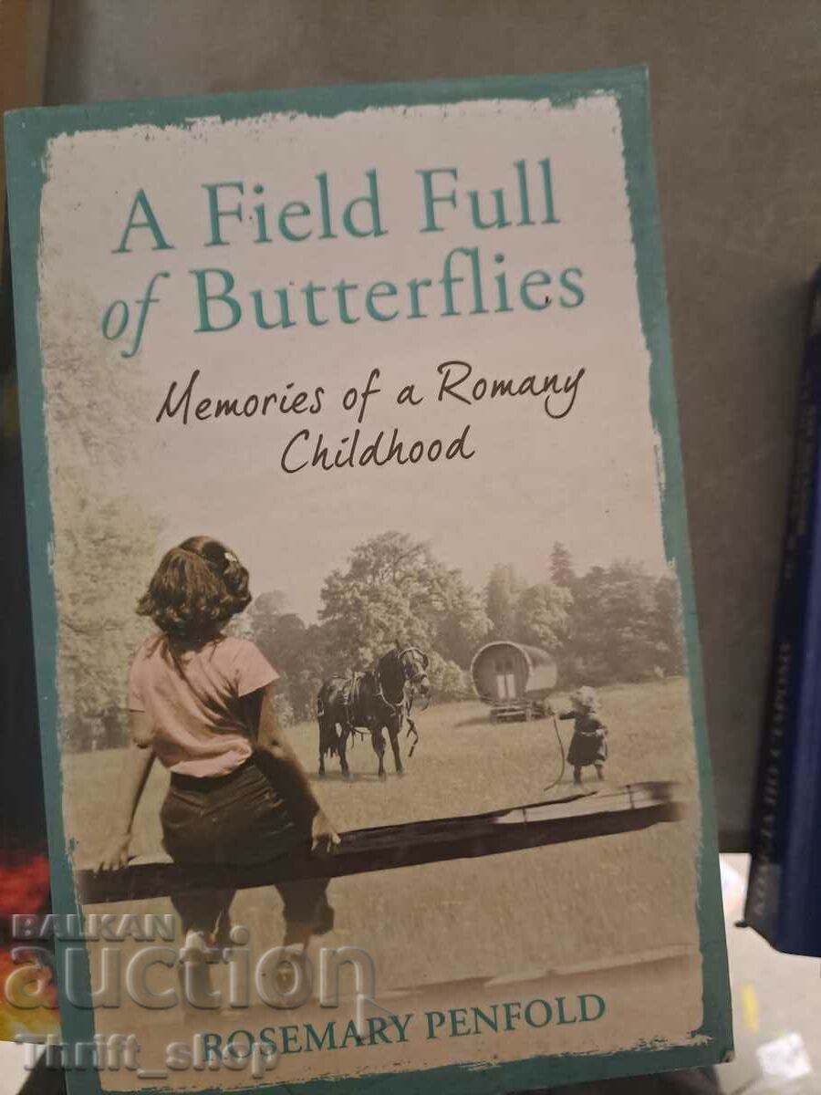 A Field full of butterflies