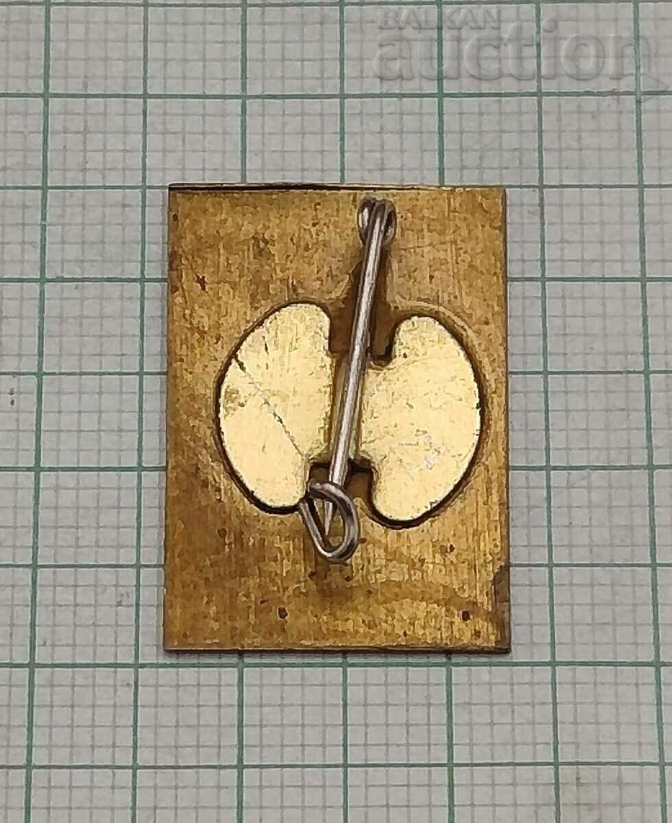 OTRADNIK DOT 25 years BADGE with price 2.00 BGN | € 1.02 OTRADNIK DOT 25 years BADGE with price 2.00 BGN | € 1.02