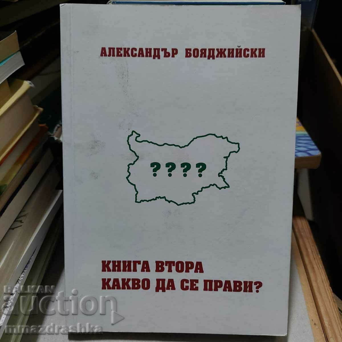 Book two What to do, Alexander Boyadzhiyski
