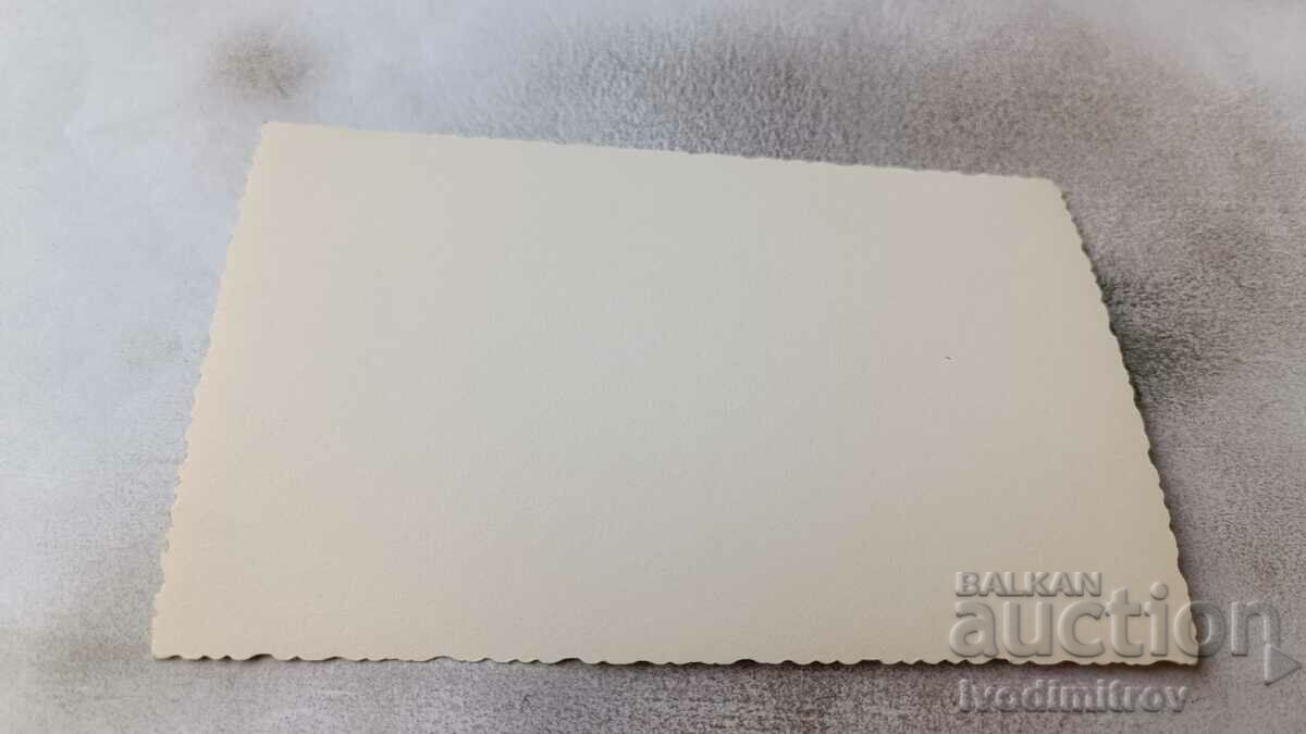 Photo Street in the village with price 2.35 BGN | € 1.20 Photo Street in the village with price 2.35 BGN | € 1.20