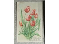 Spring postcard - Bouquet of red tulips.
