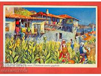 TRAVEL CARD TOBACCO PICKING MILL 1 Lev GERMANY 1937