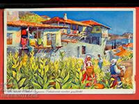 TRAVEL CARD TOBACCO PICKING MILL 1 BGN GERMANY 1937