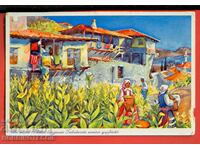 ПЪТУВАЛА КАРТИЧКА БРАНЕ НА ТЮТЮН МЕЛНИК 1 Лв ГЕРМАНИЯ 1937