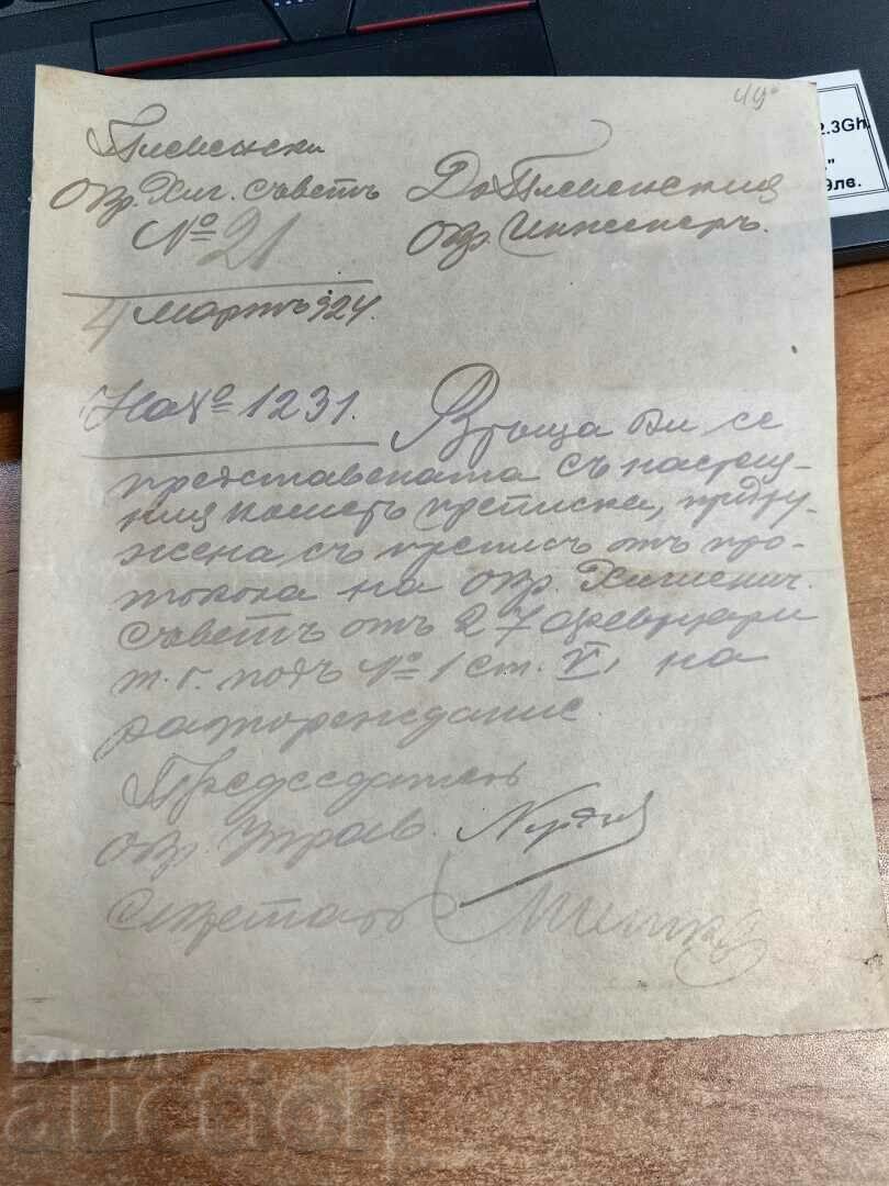 1924 PLEVEN CONSILIUL DE IGIENĂ DOCUMENT REGATUL BULGARIA