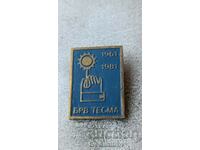Badge 20 years BRV TESMA 1961 - 1981