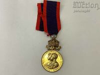 Medal "For the marriage of Prince Ferdinand I" 1893