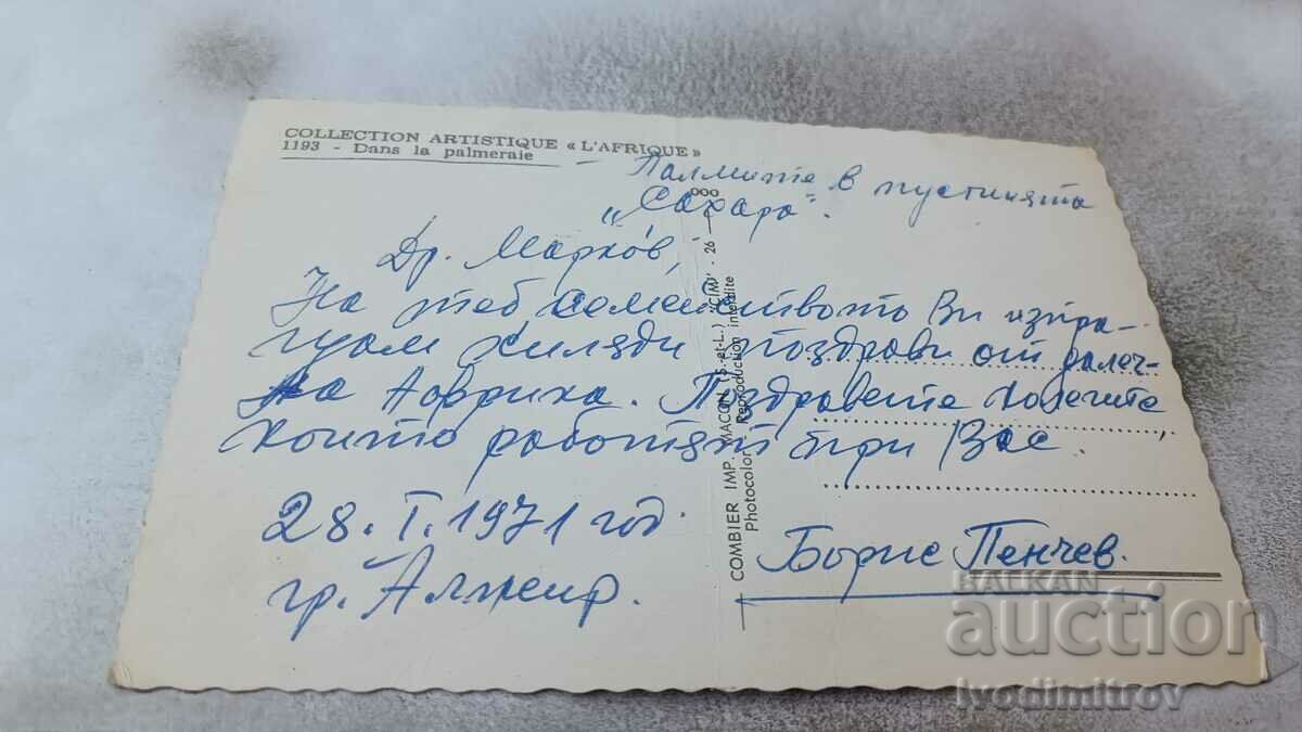 Καρτ ποστάλ Dans la Palmeraie 1971 με τιμή 0.85 BGN | € 0.43