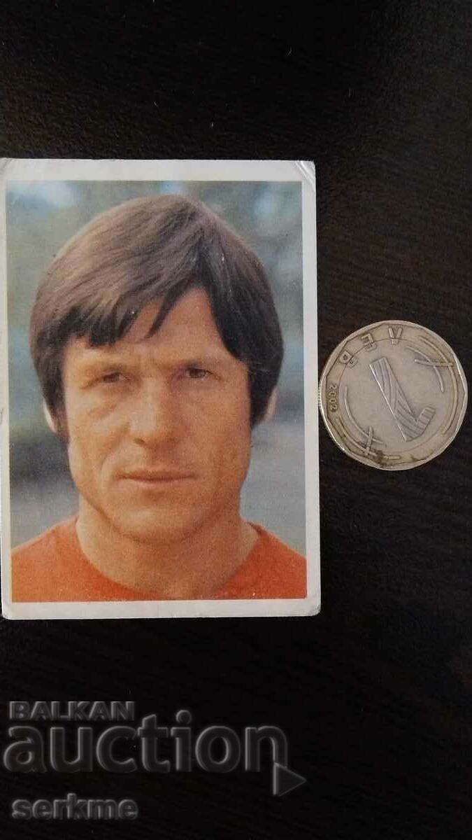 Auction Card Auction Card