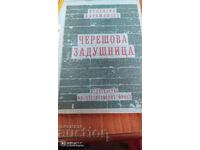 Tocană de cireșe, Valentin Karamanchev, prima ediție