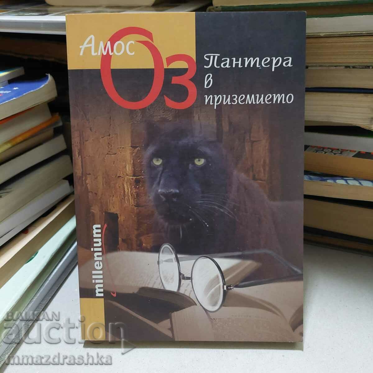 Panther in the ground floor, Amos Oz