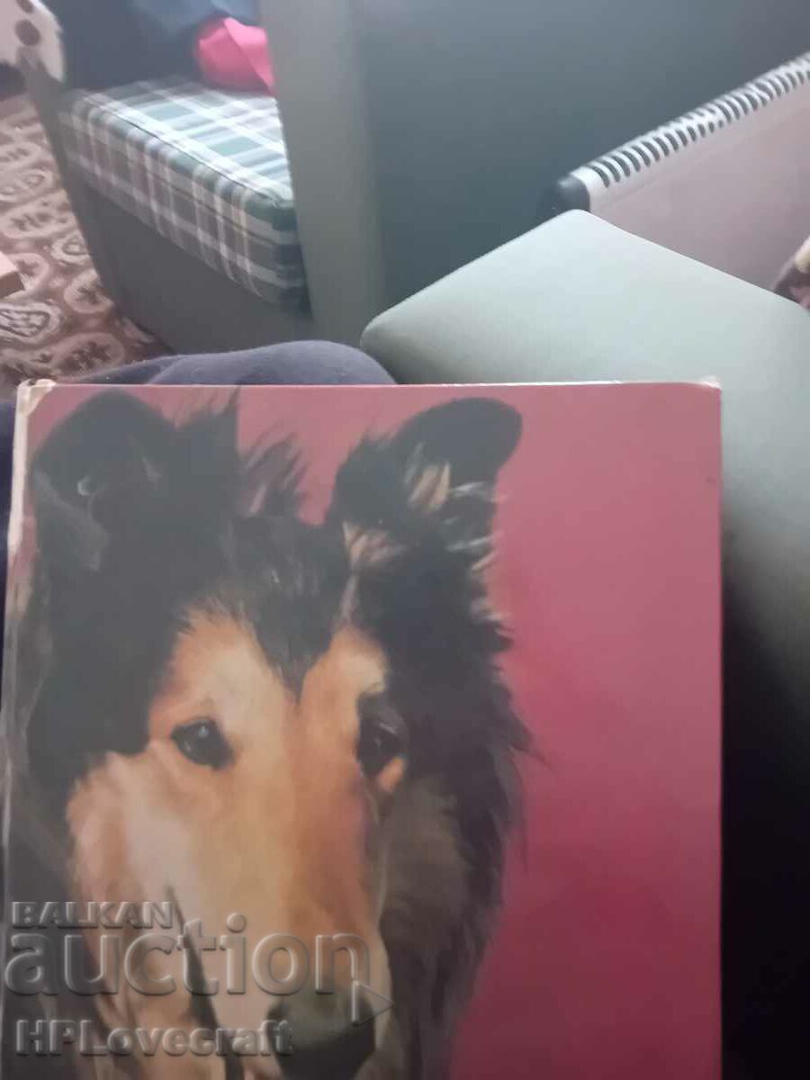 Ένα βιβλίο για τα σκυλιά