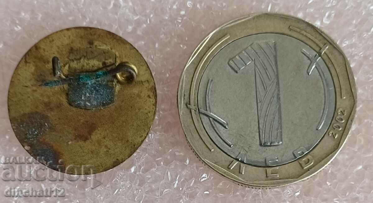 Rare sign: For active work with the pioneers with price 28.00 BGN | € 14.32 Rare sign: For active work with the pioneers with price 28.00 BGN | € 14.32