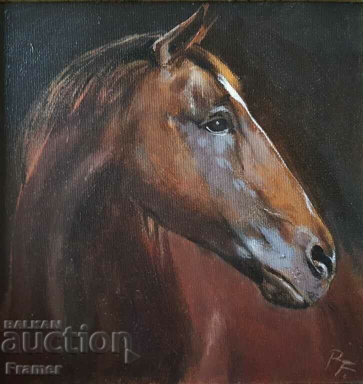 Auction Parashkev – Paro Feredzhanov Horse "Jackal" 2018 Auction Parashkev – Paro Feredzhanov Horse "Jackal" 2018