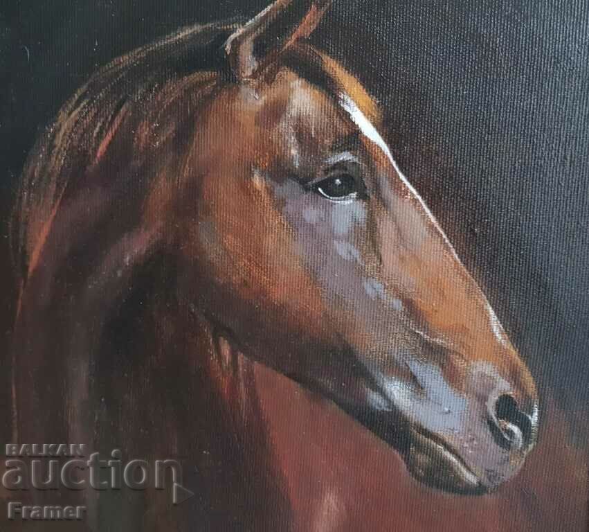 Delivery of Parashkev – Paro Feredzhanov Horse "Jackal" 2018 Delivery of Parashkev – Paro Feredzhanov Horse "Jackal" 2018