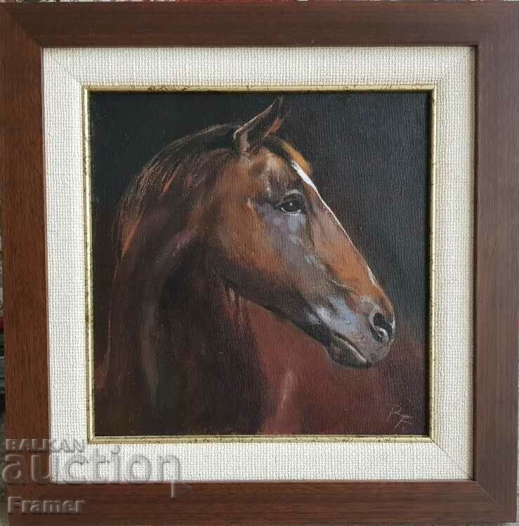 Parashkev – Paro Feredzhanov Horse "Jackal" 2018 Parashkev – Paro Feredzhanov Horse "Jackal" 2018