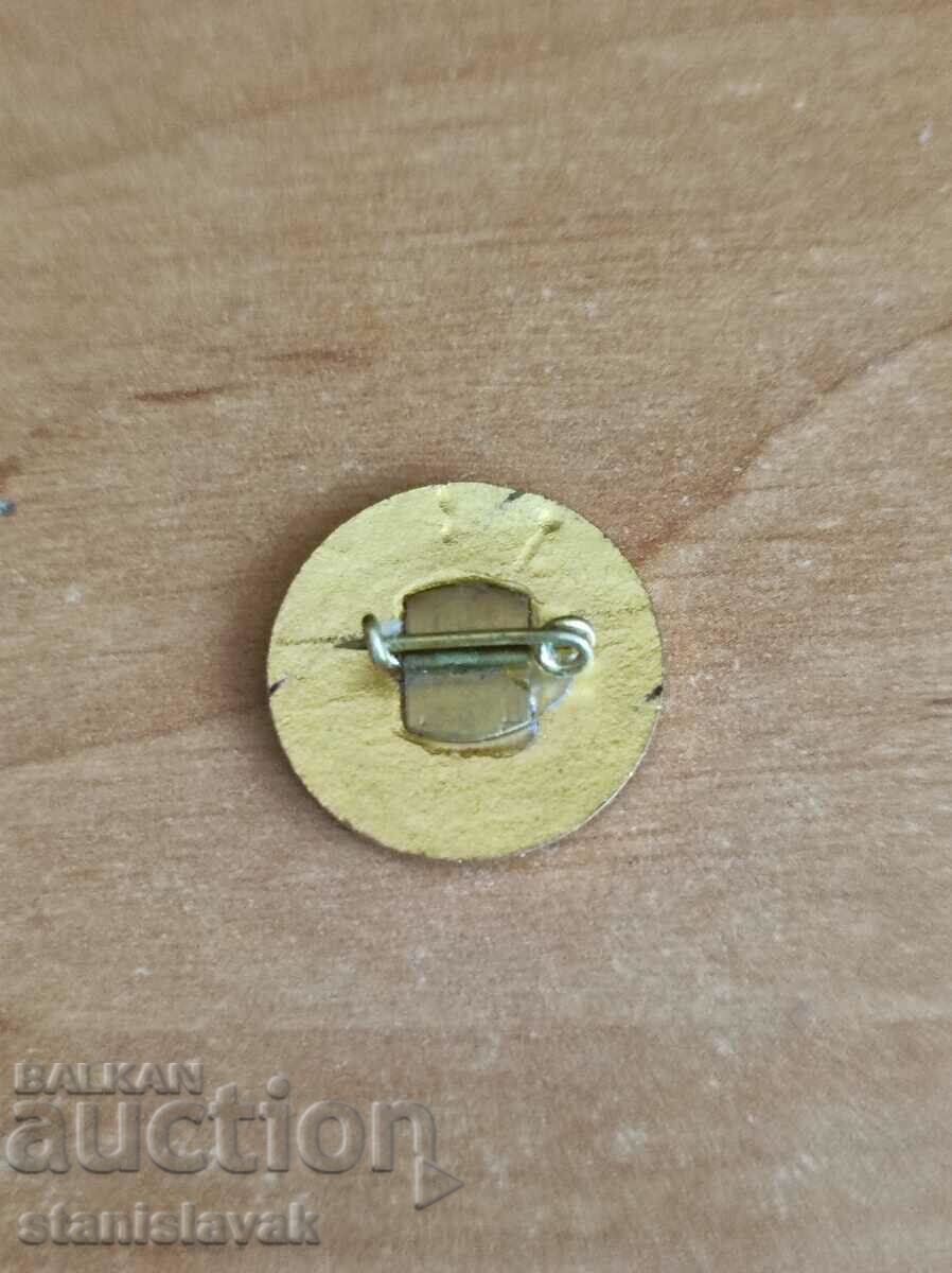 Рядък знак отличник министерство на финансите с цена € 20.00 | 39.12 лв.