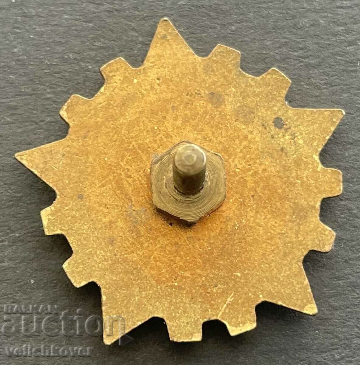 37230 Bulgaria sign Excellent of industry enamel on screw with price 15.00 BGN | € 7.67 37230 Bulgaria sign Excellent of industry enamel on screw with price 15.00 BGN | € 7.67