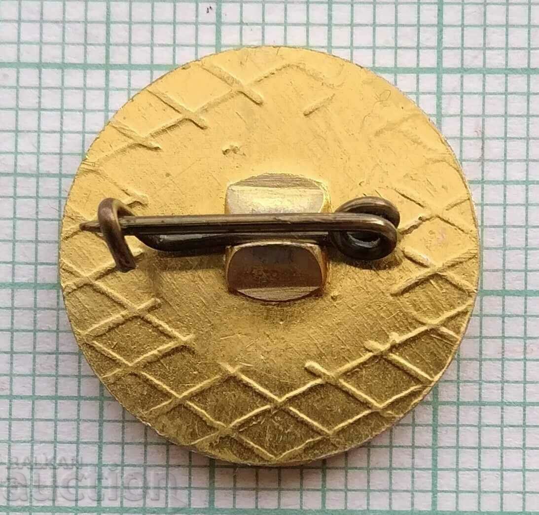 Auction  15880 Badge - Combat Sports