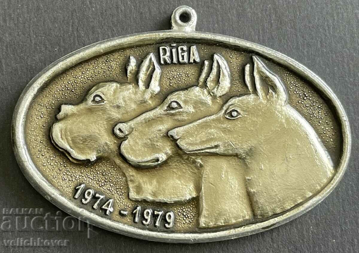 37235 semn URSS expoziție cinologică iubitori de câini Riga 1974