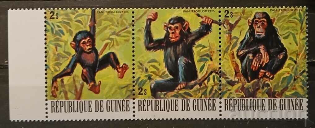 Guinea 1977 Fauna/Animals/Chimpanzees MNH