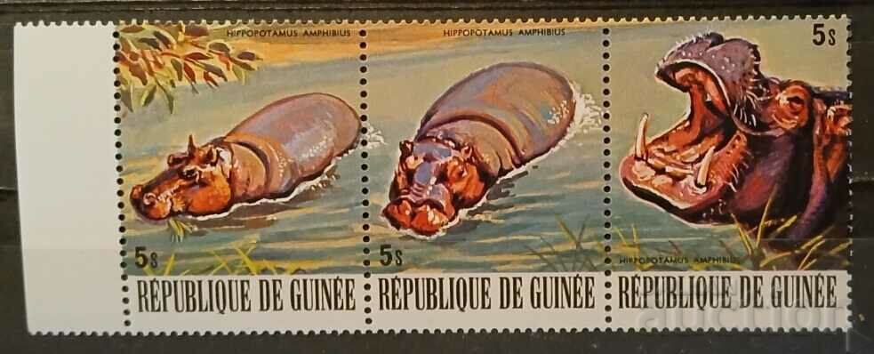 Гвинея 1977 Фауна/Животни/Хипопотам MNH