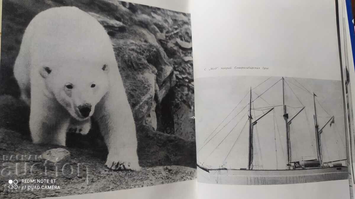 Amudsen - the last viking, Edouard Kalik, many photos - 7 Amudsen - the last viking, Edouard Kalik, many photos - 7