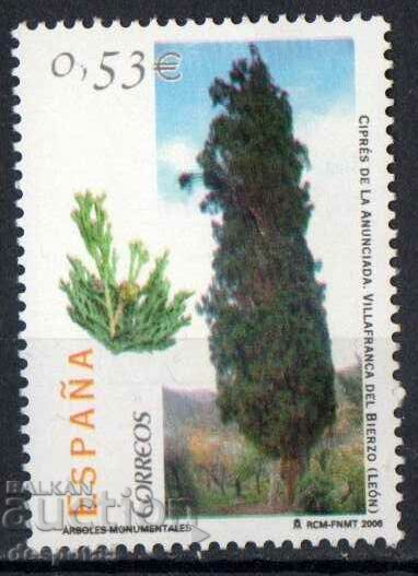 2006. Spain. Cypress tree in Villafranca del Bierzo.