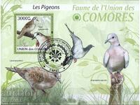 2009. Insulele Comore. Păsări - Porumbei și Cuci. Bloc.