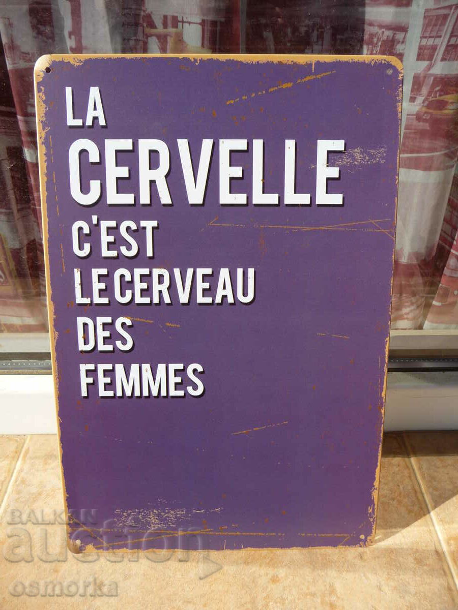 Метална табела надпис за мозъка на жените мозъци френски