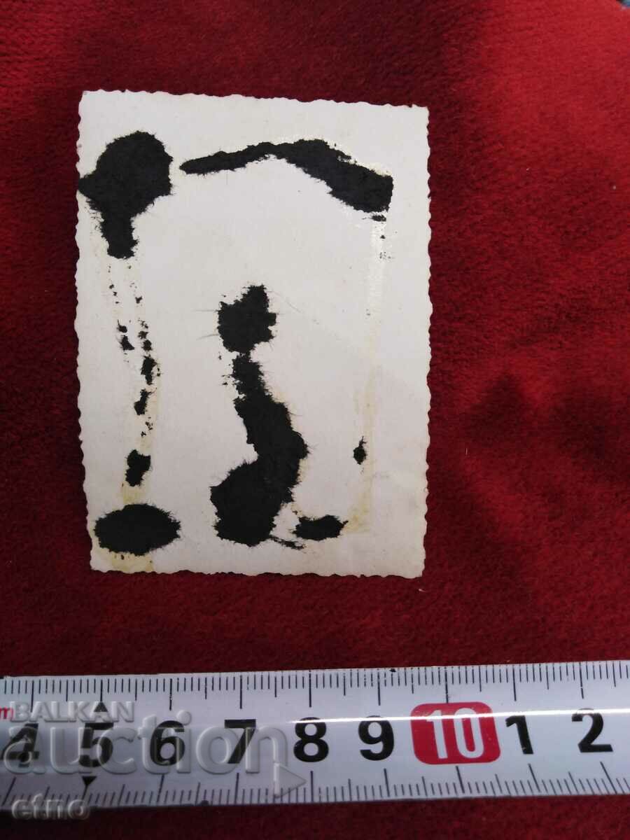 Auction ROYAL PHOTO - radio Auction ROYAL PHOTO - radio