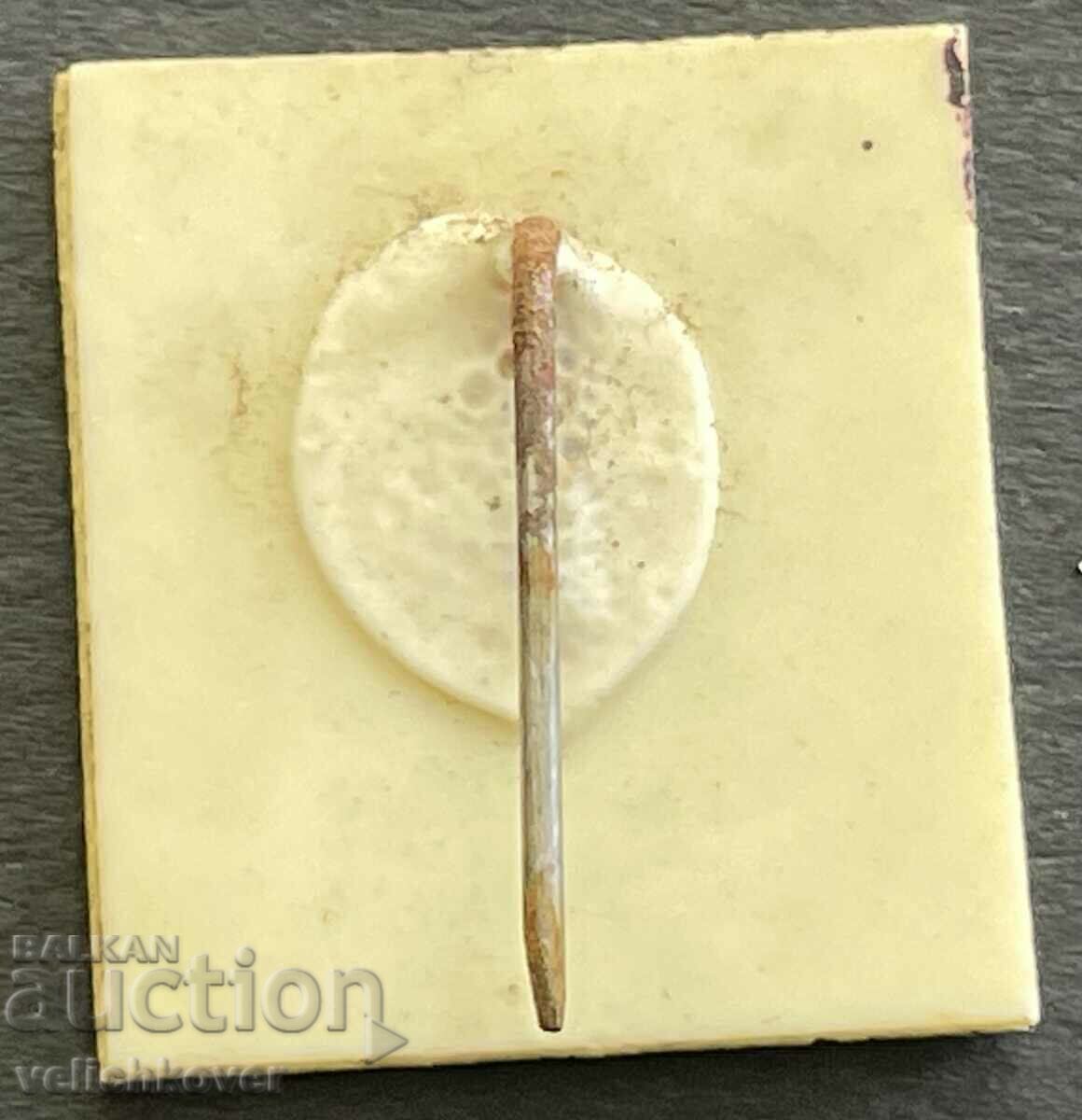 37306 Bulgaria monument Strandzha partisan detachment Grudov with price 4.00 BGN | € 2.05 37306 Bulgaria monument Strandzha partisan detachment Grudov with price 4.00 BGN | € 2.05