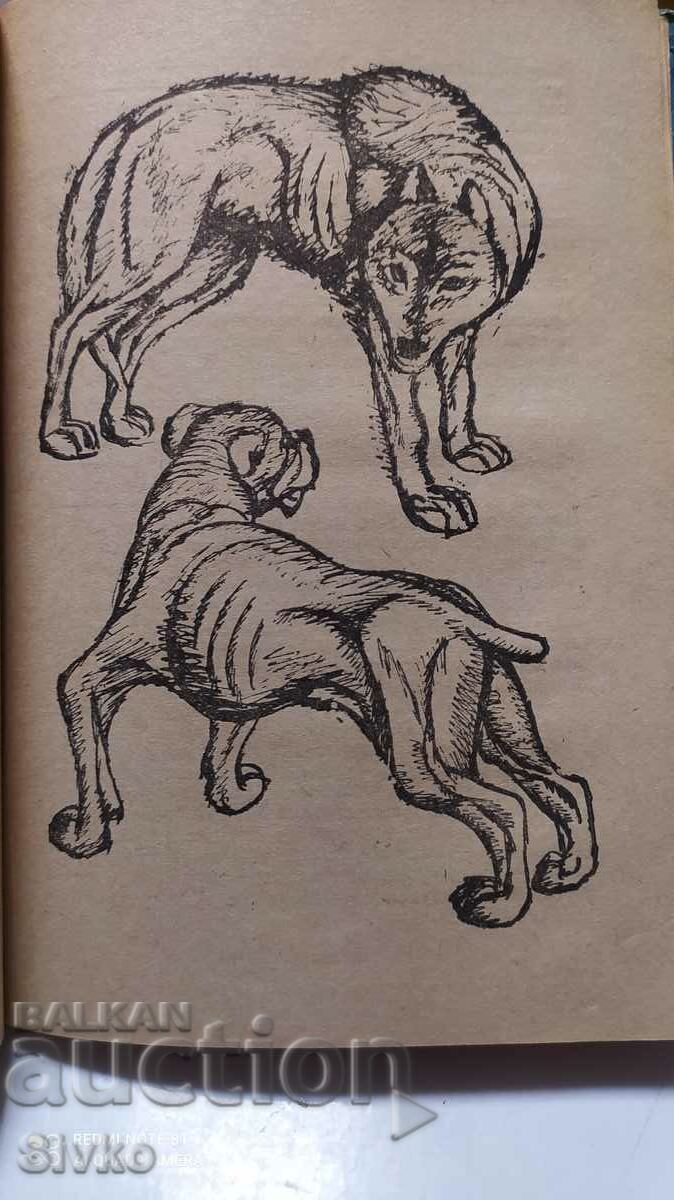 Delivery of The White Fang, Jack London, many illustrations