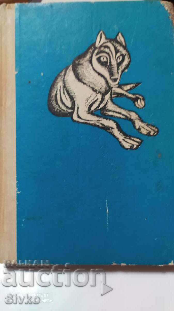 The White Fang, Jack London, many illustrations
