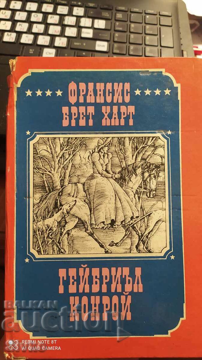 Гейбриъл Конрой, Франсис Брет Харт, първо издание, много илю