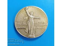 1st BZC Medal, Plaque Memorial Mother - Motherland Volgograd, USSR