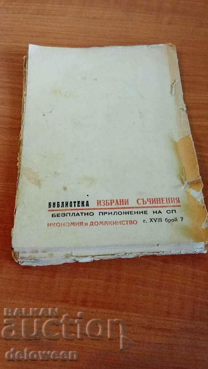 Brenda - 5 Brenda - 5