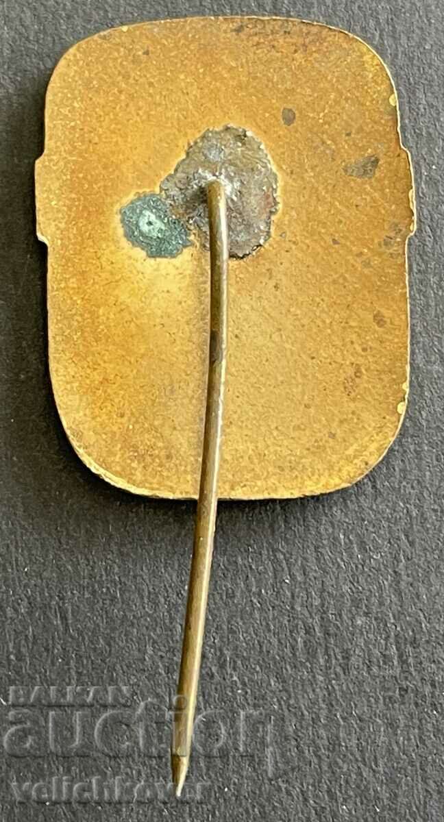 37323 Bulgaria sign DOSO Voluntary organization for assistance with price 10.00 BGN | € 5.11