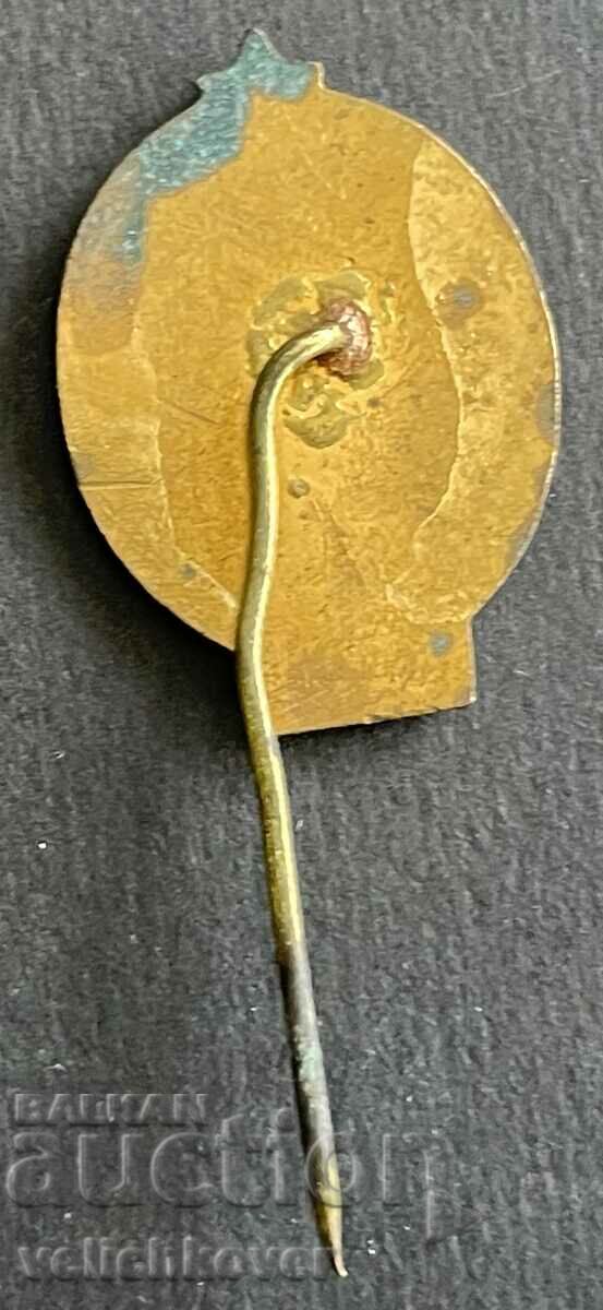 37339 Bulgaria mark Buzludzhanski congress BKR 1891. Email with price 3.00 BGN | € 1.53