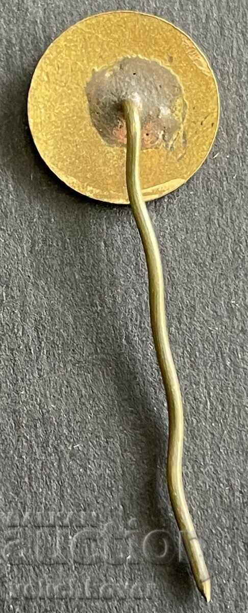 37350 Bulgaria sign Chemical Plant Vidachim enamel with price 3.00 BGN | € 1.53 37350 Bulgaria sign Chemical Plant Vidachim enamel with price 3.00 BGN | € 1.53