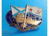 1st BZC - Badge, Battleship Bezboyaznenny 1699-1990, ΕΣΣΔ