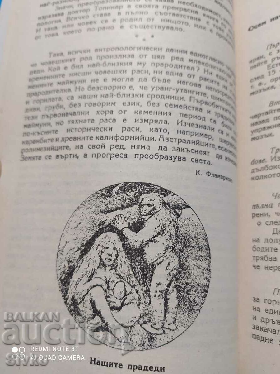 Licitație Home Advisor - O comoară de familie